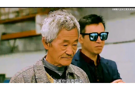 平利平利的要账公司在催收过程中的策略和技巧有哪些？