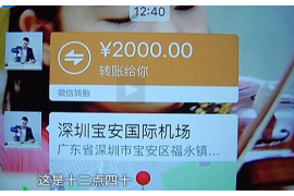平利遇到恶意拖欠？专业追讨公司帮您解决烦恼